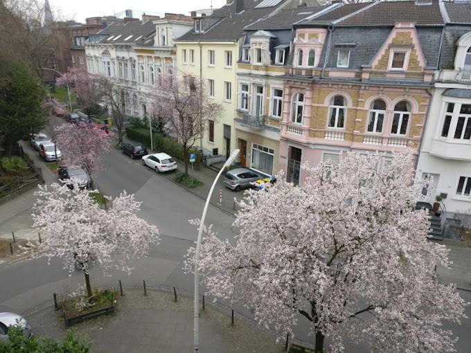 Hotel Mozart Bonn Exterior foto